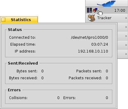 Schermata di netpulse